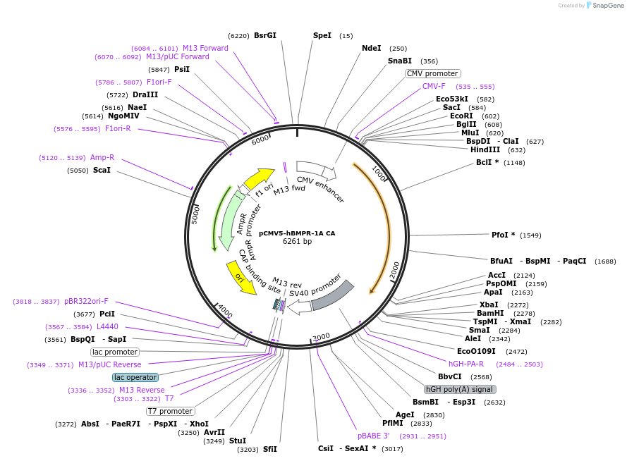 140125_map
