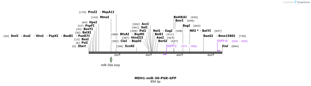 140132_map