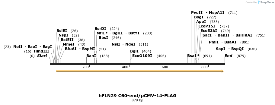 140137_map