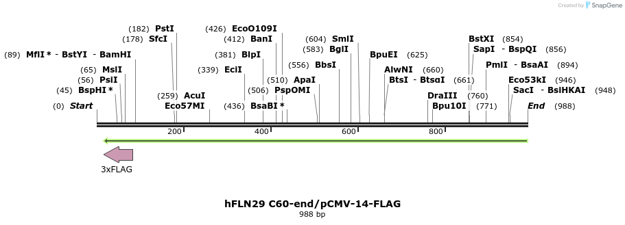 140138_map