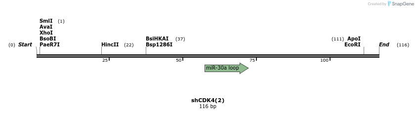 140139_map