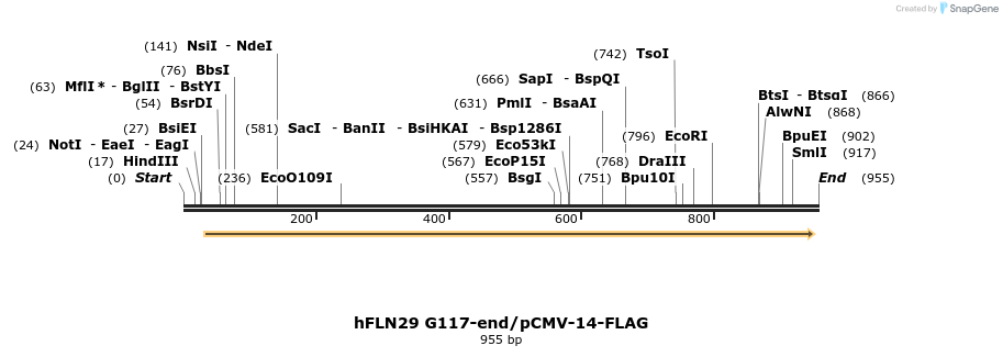 140140_map