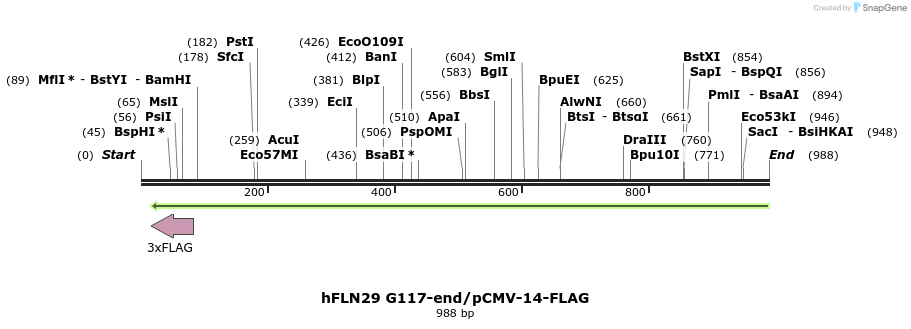 140142_map
