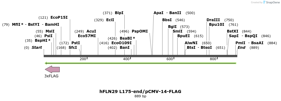 140144_map