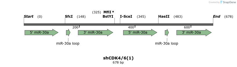 140145_map