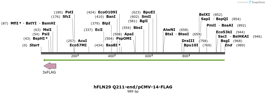 140148_map