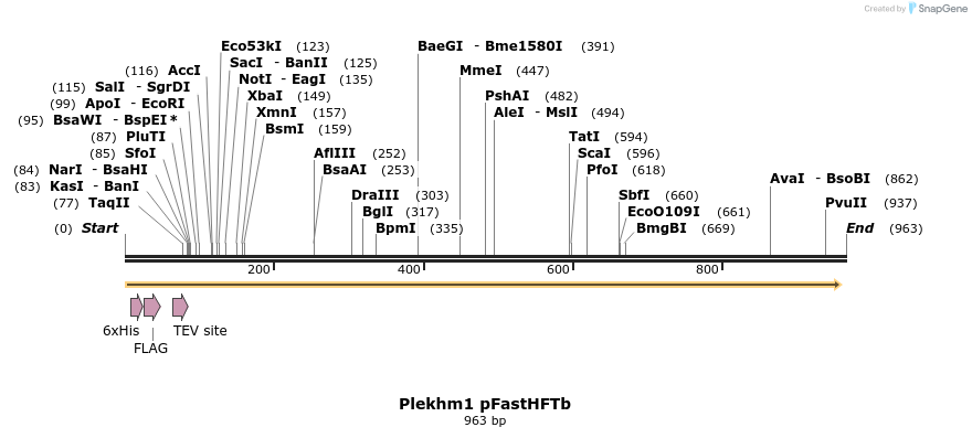 140149_map