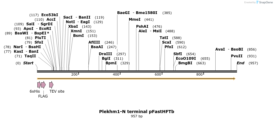 140154_map