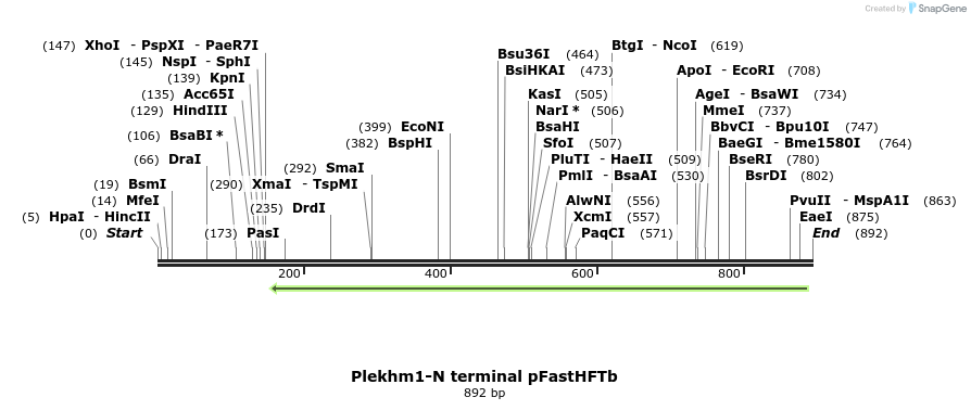 140155_map