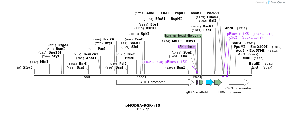140157_map