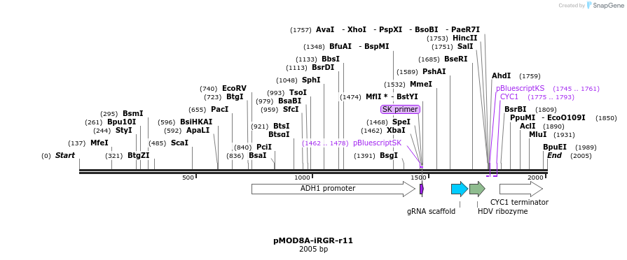 140159_map