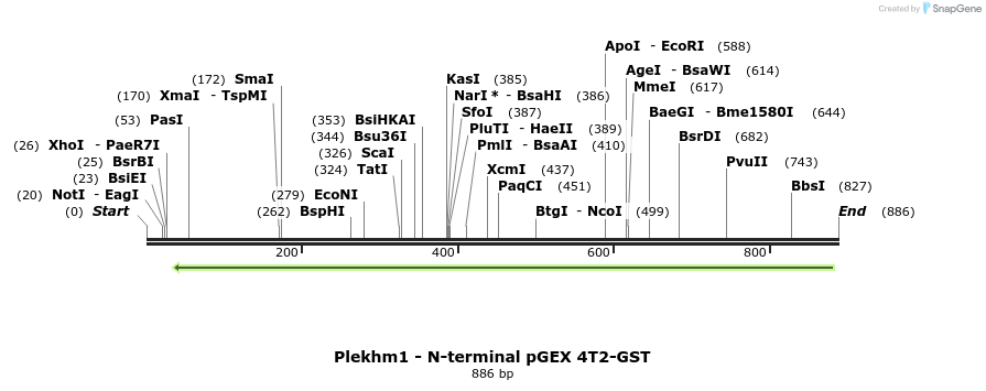 140168_map