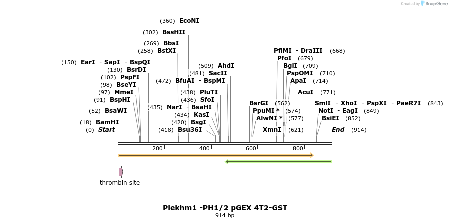 140171_map