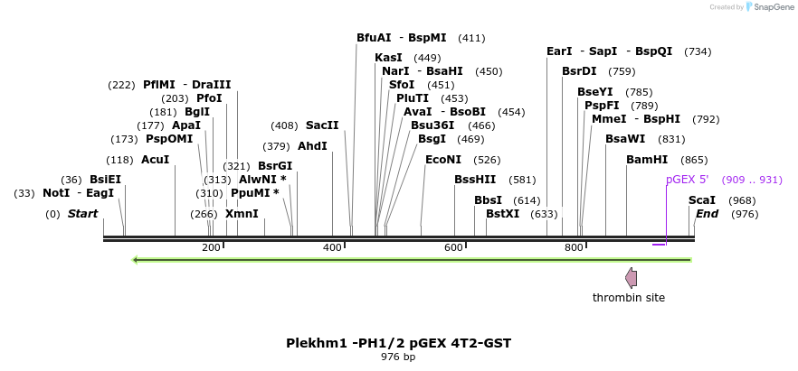 140173_map