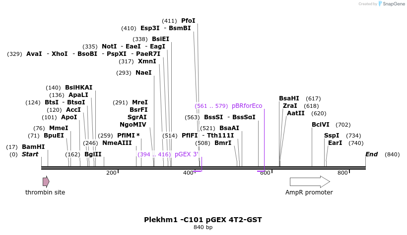 140176_map