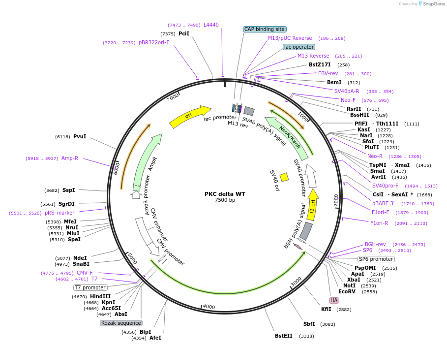 140177_map