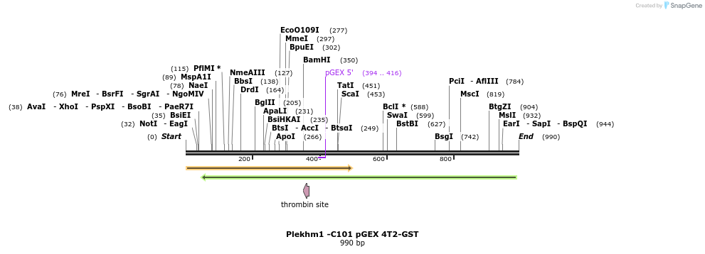 140178_map
