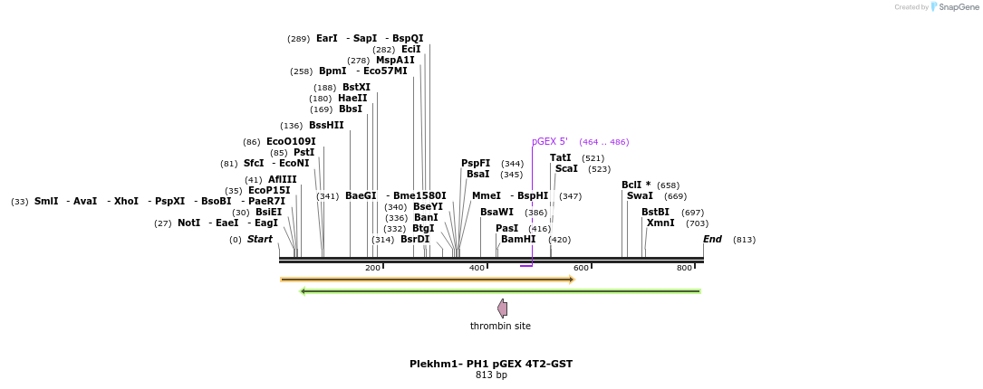 140181_map