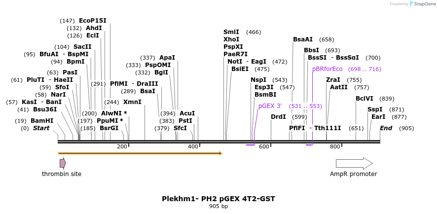 140184_map