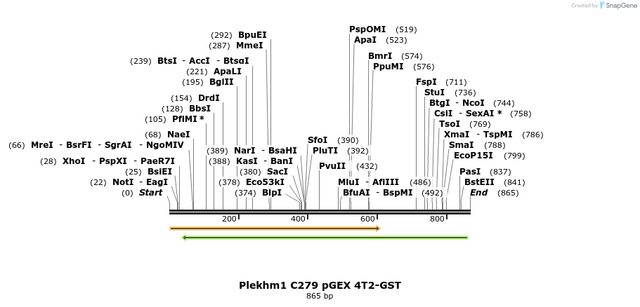140193_map