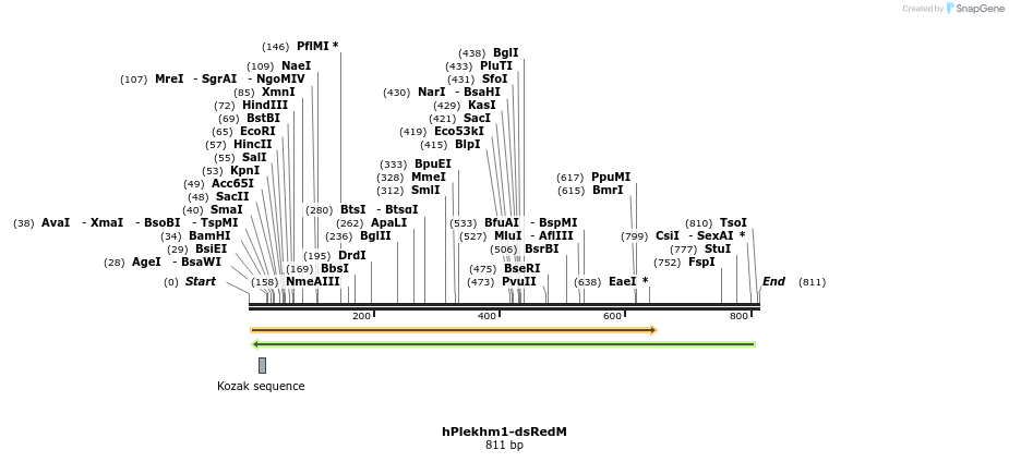 140200_map