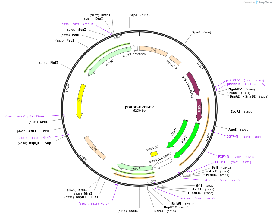 140203_map