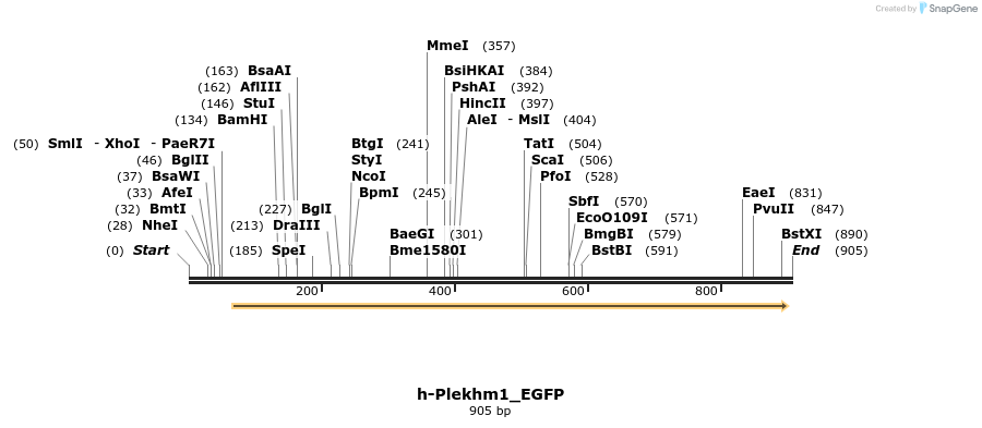 140205_map
