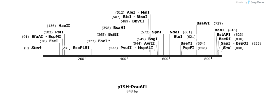 140232_map