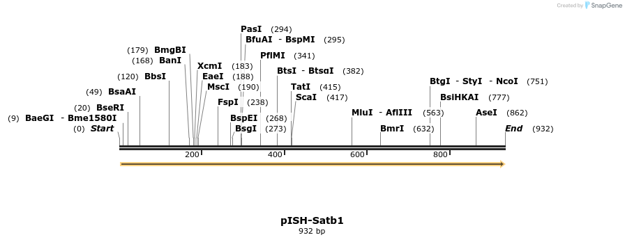140233_map
