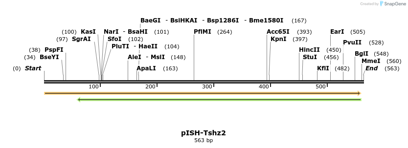 140237_map