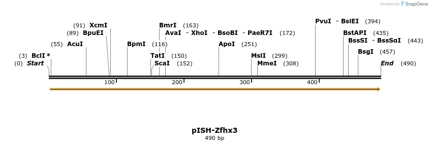 140239_map