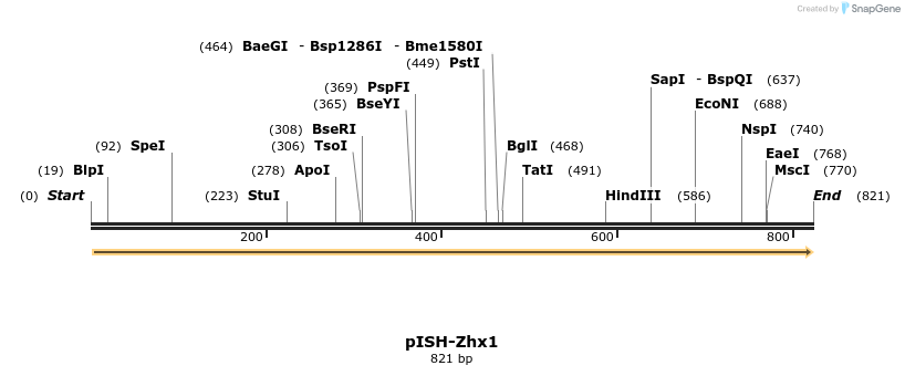 140240_map