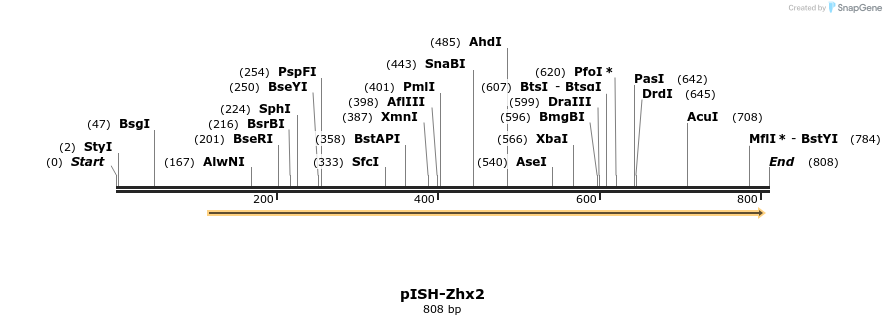 140241_map