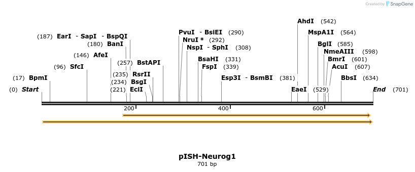 140243_map