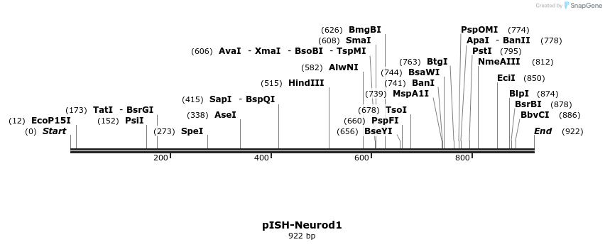 140244_map