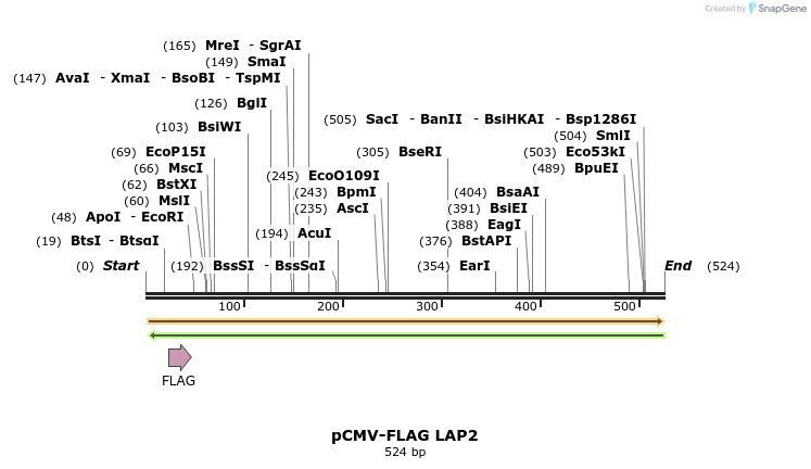 140268_map
