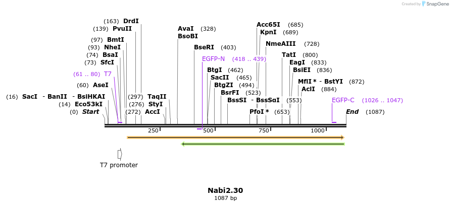 140273_map