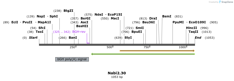 140275_map
