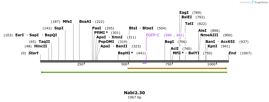 140276_map