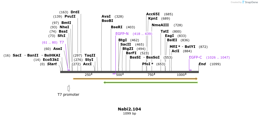 140277_map