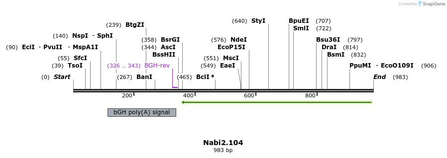 140278_map