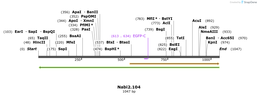 140279_map