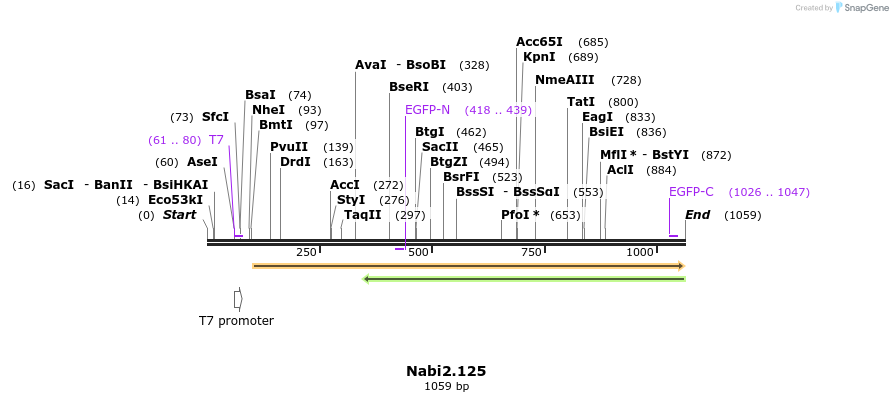 140283_map