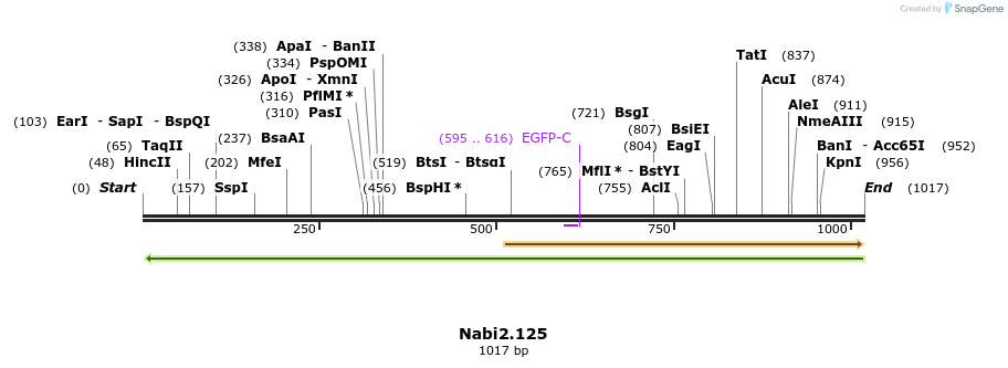 140286_map