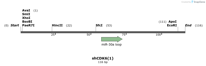 140293_map