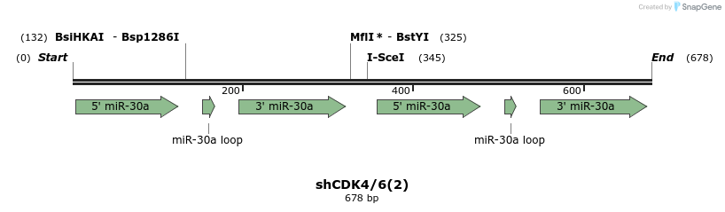 140298_map