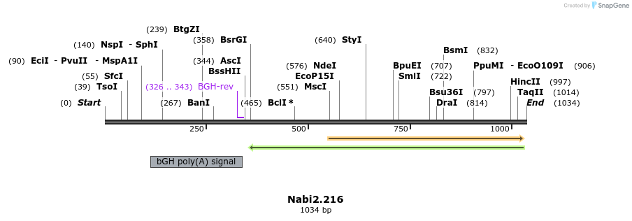 140299_map
