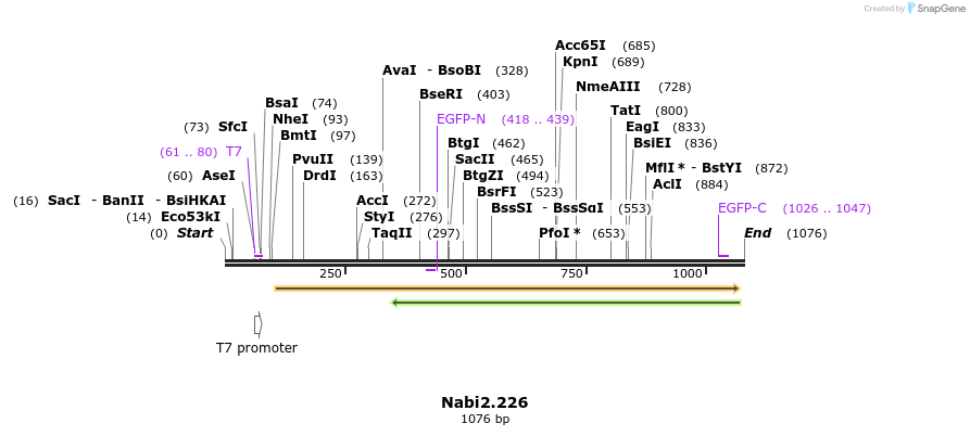 140304_map