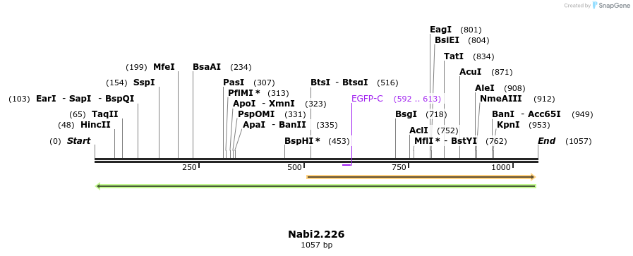 140305_map