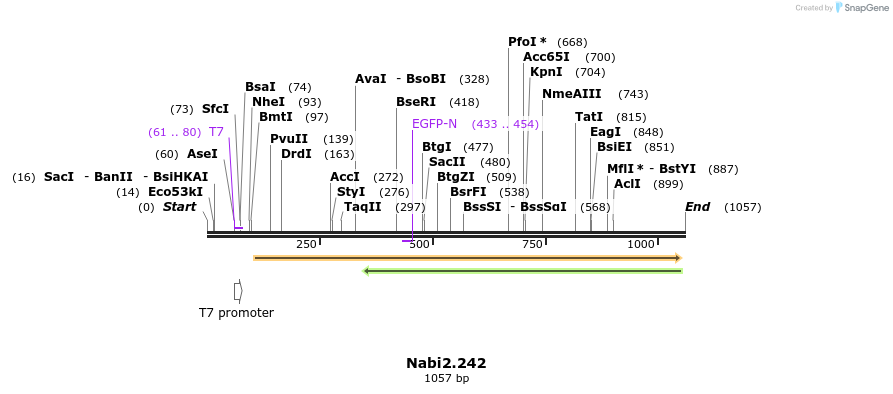 140306_map